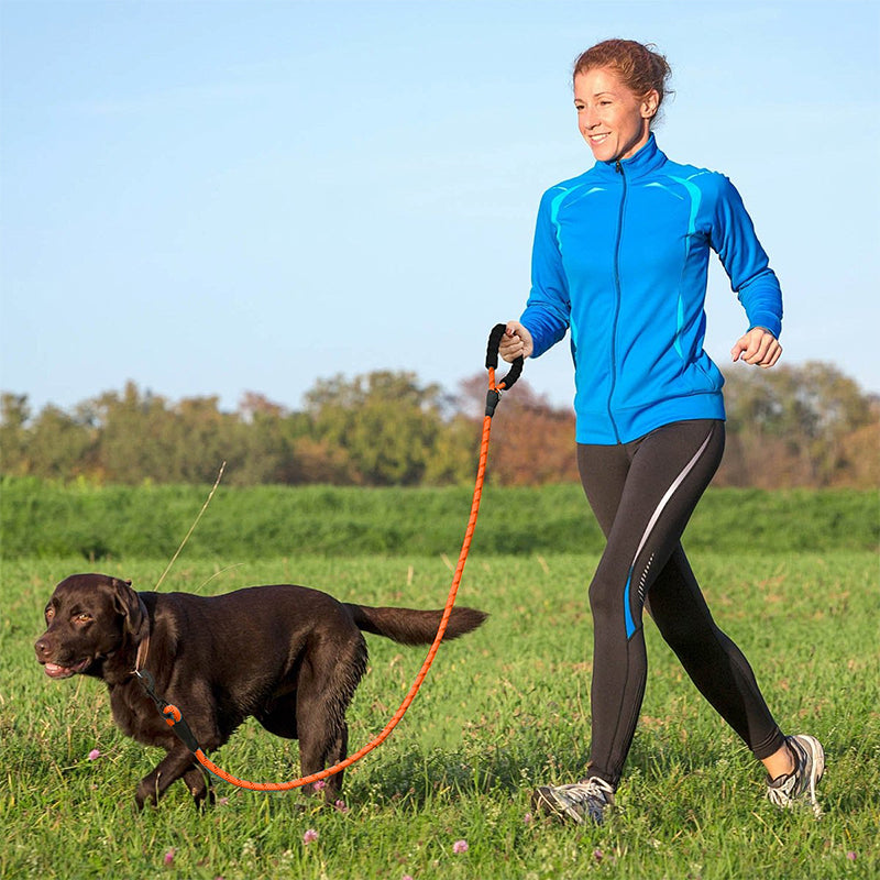 ZOOMIES 1.5M Reflective Threads Dog Leash with Padded Handle - Orange