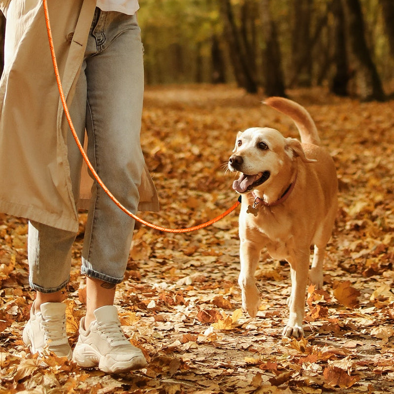 ZOOMIES 1.5M Reflective Threads Dog Leash with Padded Handle - Orange