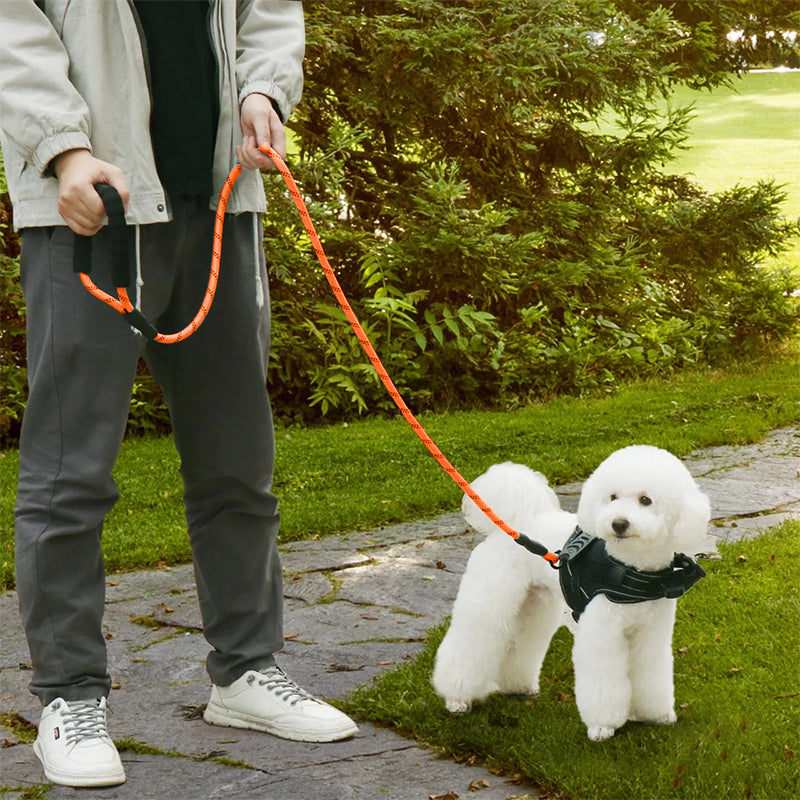 ZOOMIES 1.5M Reflective Threads Dog Leash with Padded Handle - Orange