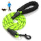 ZOOMIES 1.5M Reflective Threads Dog Leash with Padded Handle - Green