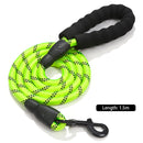 ZOOMIES 1.5M Reflective Threads Dog Leash with Padded Handle - Green