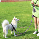 ZOOMIES 1.5M Reflective Threads Dog Leash with Padded Handle - Purple