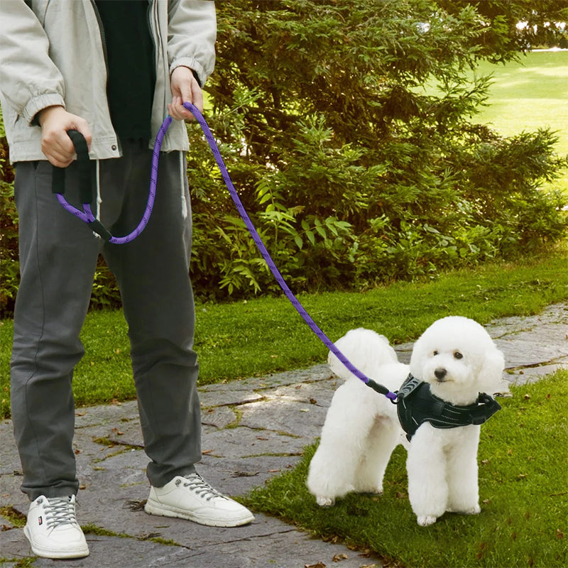 ZOOMIES 1.5M Reflective Threads Dog Leash with Padded Handle - Purple