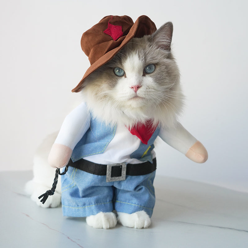 ZOOMIES Pet Cowboy Costume - Medium - Special Edition