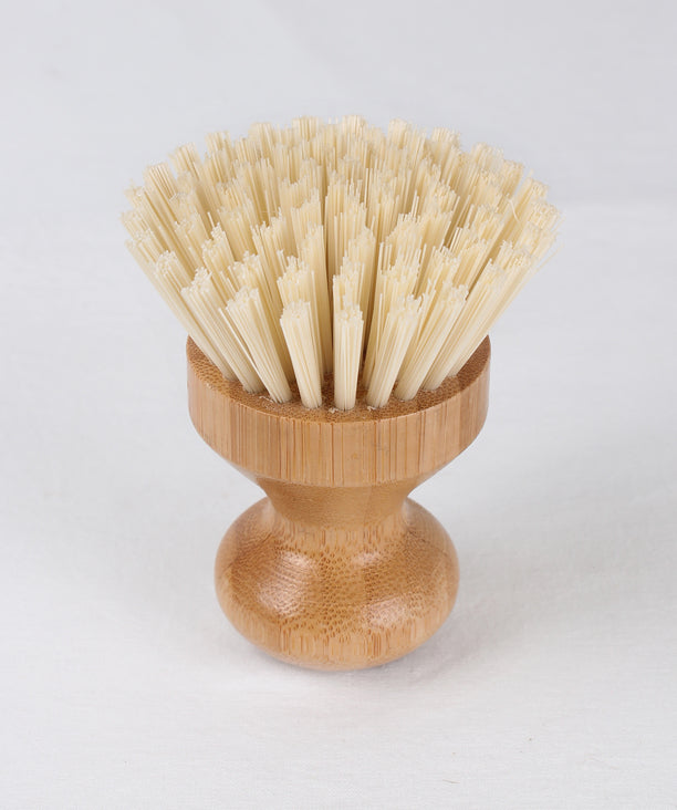 Eco Basics: Pot Brush