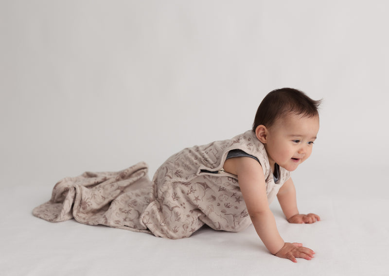 Woolbabe: 3-Seasons Front Zip - Dune Seascape (3-24 Months)