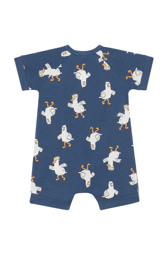 Bonds: Zippy Romper - Gus the Seagull (Size 1)