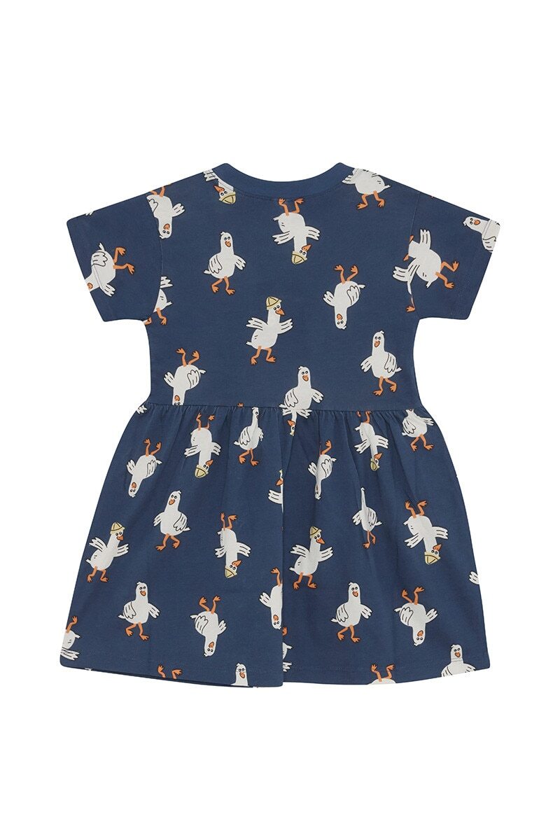 Bonds: Next Gen Tee Dress - Gus the Seagull (Size 3)