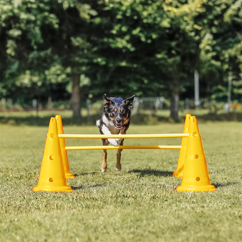 ZOOMIES Dog Agility Hurdle Cone Set - Yellow