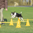 ZOOMIES Dog Agility Hurdle Cone Set - Yellow