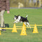 ZOOMIES Dog Agility Hurdle Cone Set - Yellow