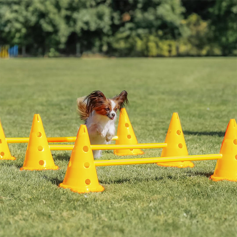 ZOOMIES Dog Agility Hurdle Cone Set - Yellow