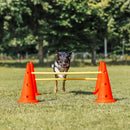 ZOOMIES Dog Agility Hurdle Cone Set - Orange