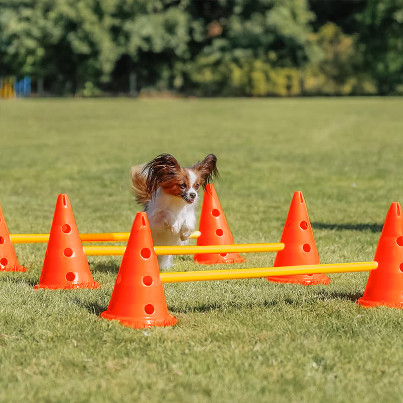 ZOOMIES Dog Agility Hurdle Cone Set - Orange