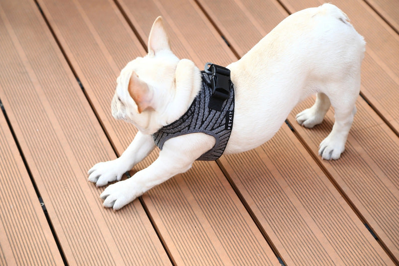 PetKit: Air Fly Dog Harness (XS)