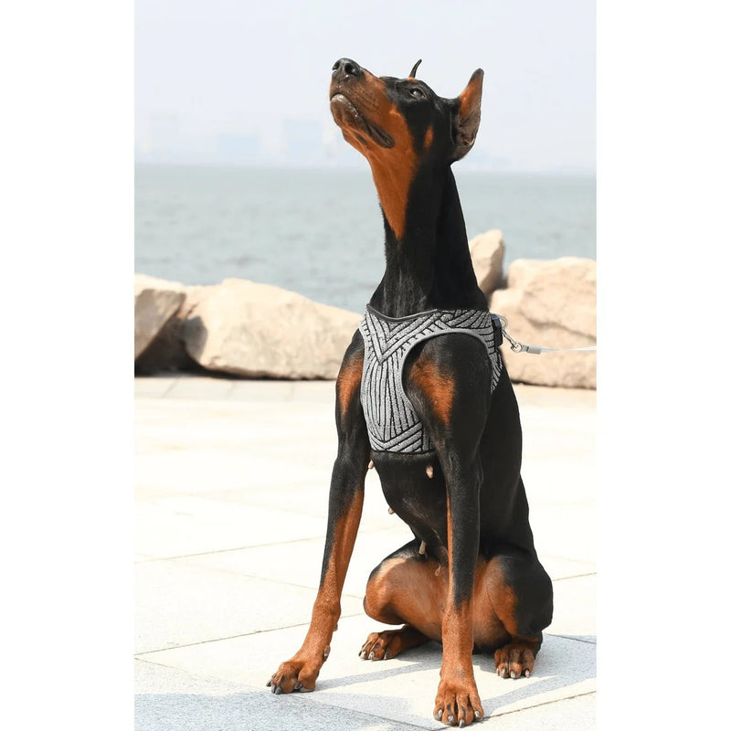 PetKit: Air Fly Dog Harness (Medium)