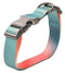 Pidan: Dog Collar with High-Strength Metal Buckle