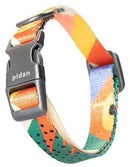 Pidan: Dog Collar with Metal Buckle S1