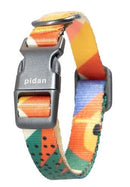 Pidan: Dog Collar with Metal Buckle S1