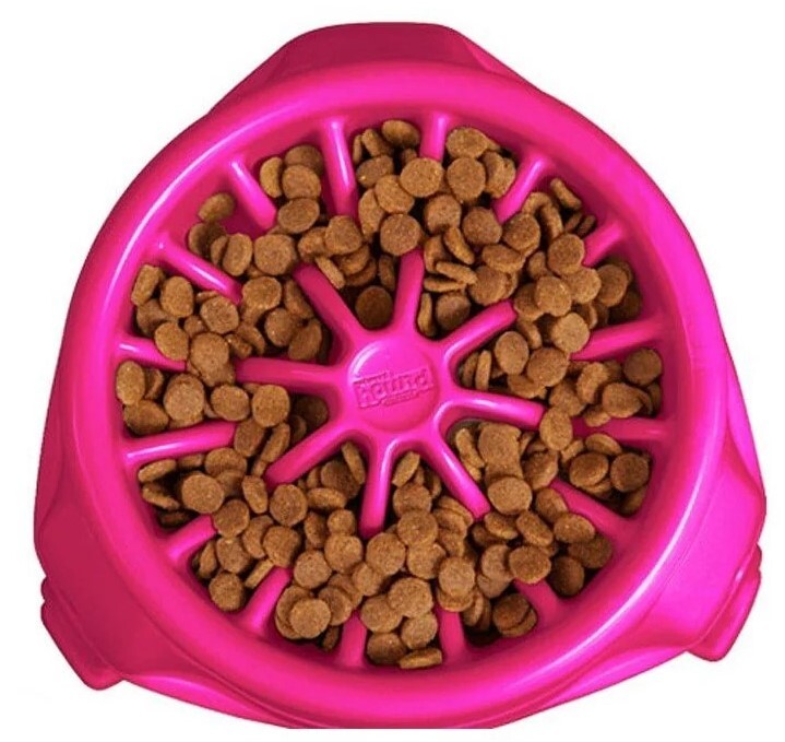 Outward Hound: 3in1 UP Plastic Feeder - Pink