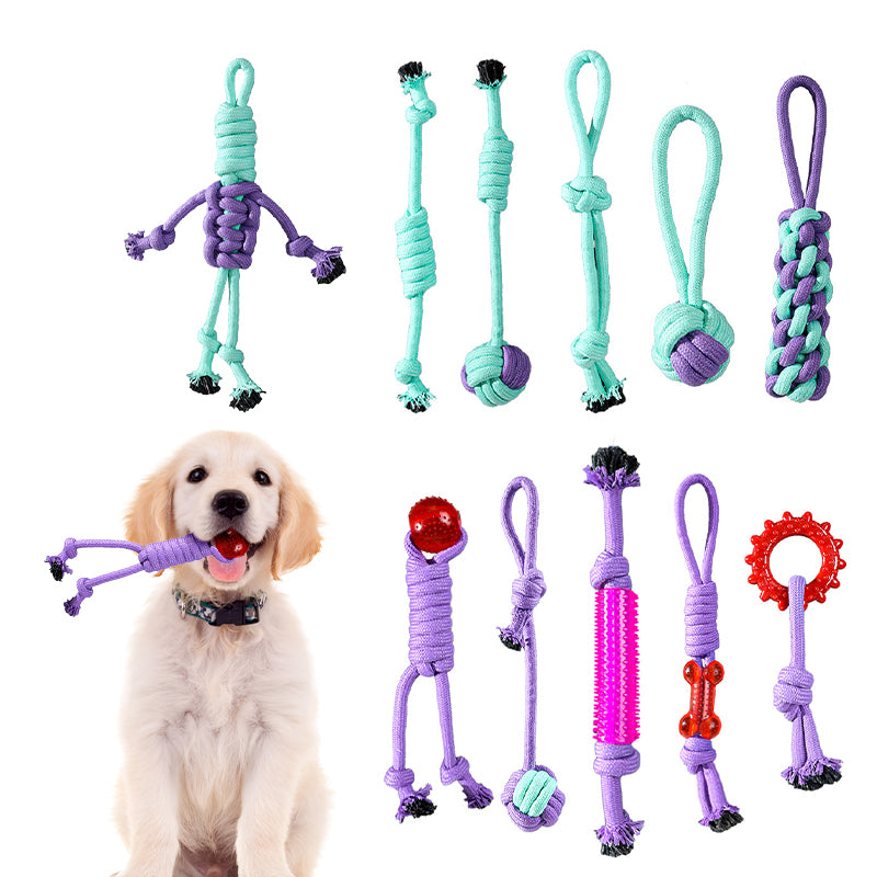 ZOOMIES 11-Piece Heavy Duty Leash Toy Set