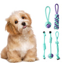 ZOOMIES 11-Piece Heavy Duty Leash Toy Set