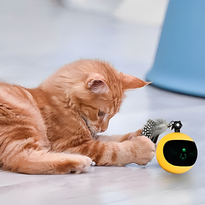 PETSWOL Interactive Cat Toy Ball with Remote Control - Yellow