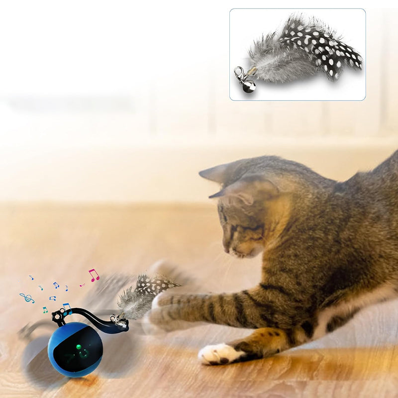 PETSWOL Interactive Cat Toy Ball with Remote Control - Blue