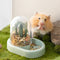 MEWOOFUN Hamster Sand Bath and Bowl Set - Green