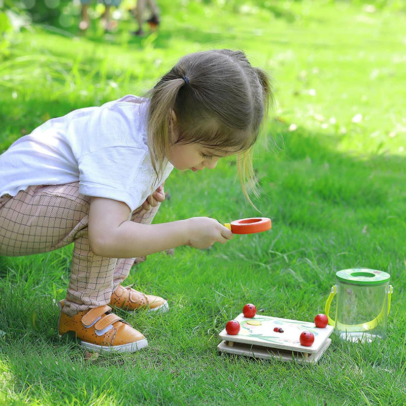 Fun Factory: Wooden Ladybug Flower Press