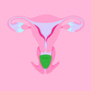 Hello.: Low Cervix Cup - Green (Medium)