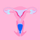 Hello.: High Cervix Cup - Bright Blue (Medium)