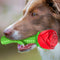 Durable Dog Toys for Aggressive Chewers - Red