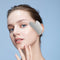 Metal Face Roller Gua Sha Massage Set