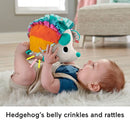 Fisher-Price: Cuddle n' Snuggle Hedgehog