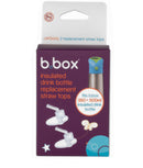 b.box: Insulated Drink Bottle Straw Tops (2 Pack)